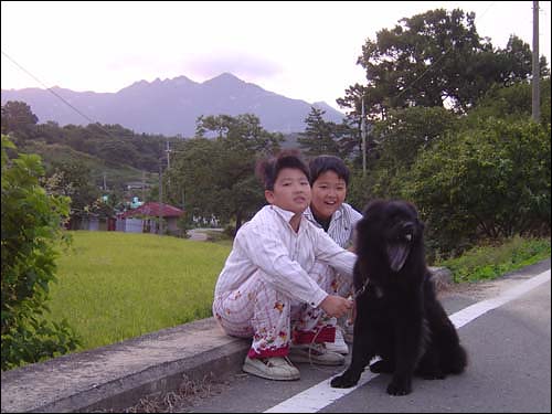 동네 산책 길에 나설때는 목줄을 사용합니다. 